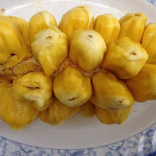 Vì quá đau buồn nàng Tố Nữ qua đời và nơi nàng trinh nữ nằm xuống mọc lên một loại trái cây lạ, quả có vị rất thơm ngon, ngọt khác thường, dân làng đem nhân giống và đặt tên là mít tố nữ.