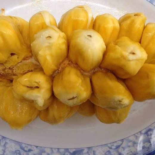 Vì quá đau buồn nàng Tố Nữ qua đời và nơi nàng trinh nữ nằm xuống mọc lên một loại trái cây lạ, quả có vị rất thơm ngon, ngọt khác thường, dân làng đem nhân giống và đặt tên là mít tố nữ.