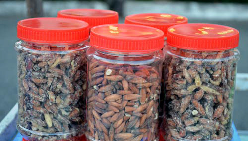 Hạt bàng ở Côn Đảo có độ săn chắc và đầy thịt hơn hẳn. Khi nhai, ngoài cái giòn giòn, bùi bùi thì đọng lại vị giác của bạn sẽ là chút béo thơm dễ chịu.