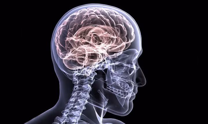 Giảm nguy cơ mắc bệnh Alzheimer: Trà xanh có thể giúp bạn phát triển sức đề kháng chống lại căng thẳng và có khả năng mắc bệnh Alzheimer. Các polyphenol bảo vệ các tế bào khỏi bị hư hại.