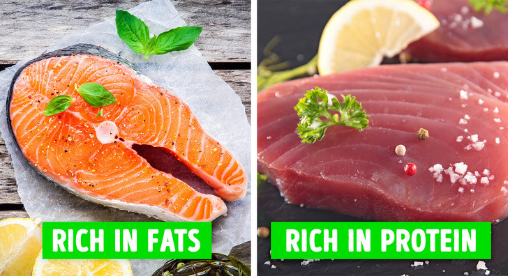 Cá hồi và cá có dầu cho chất béo lành mạnh chất lượng cao: Cá như cá hồi và cá ngừ không chỉ giúp xây dựng cơ bắp, mà còn có lợi cho toàn bộ cơ thể nói chung vì hàm lượng axit béo omega-3 của chúng.