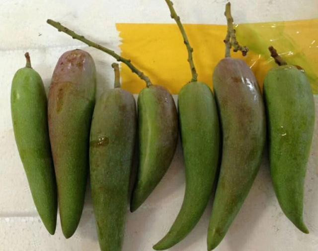 Đối với người Trung Quốc, đây là loại trái cây rất được nhiều người yêu thích.