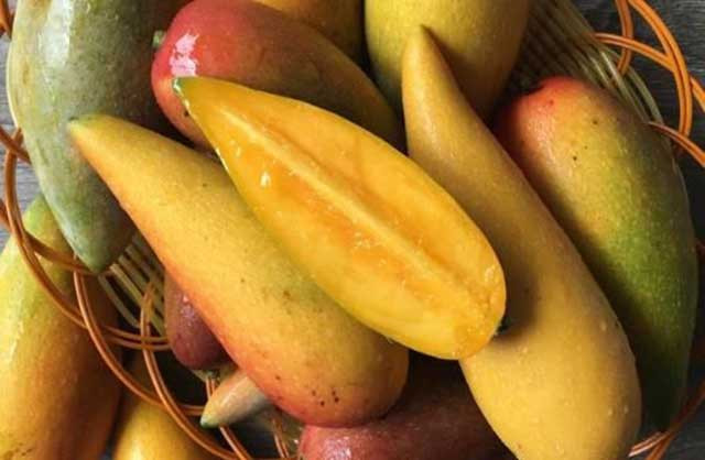 Nó có giá thành rẻ chỉ 10 tệ ( khoảng 34.000 đồng)/kg.