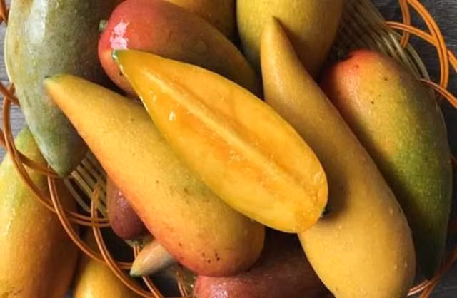 Nó có giá thành rẻ chỉ 10 tệ ( khoảng 34.000 đồng)/kg.