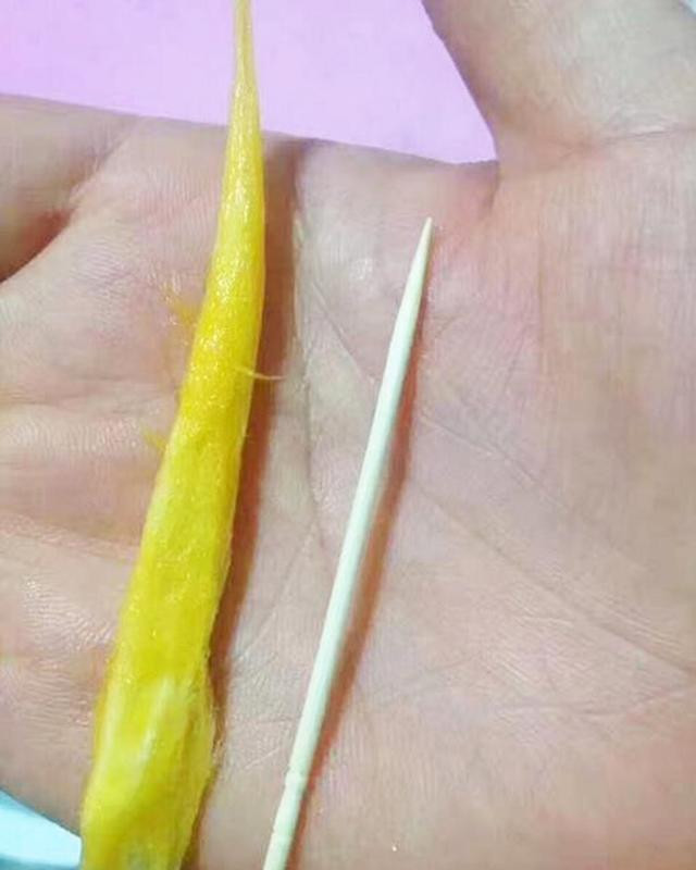 Hạt xoài trông bé xíu như que tăm.