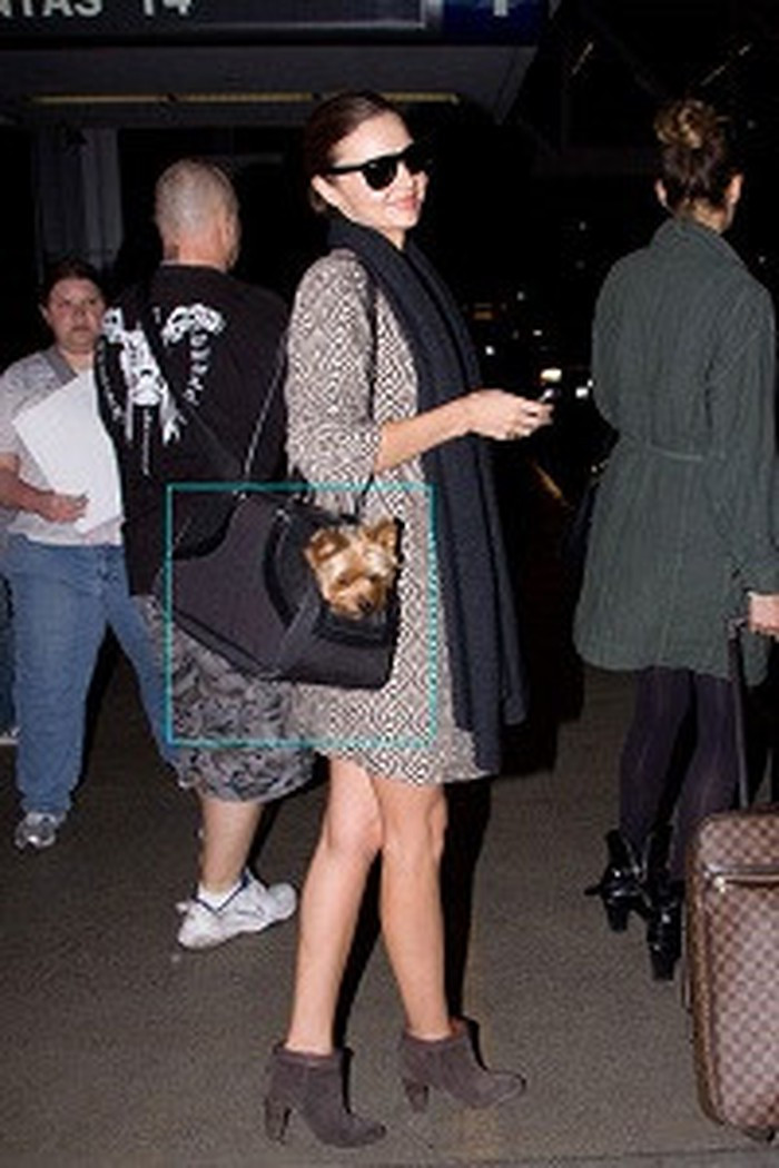 Chiếc túi xách gắn đầu thú cưng kinh dị.