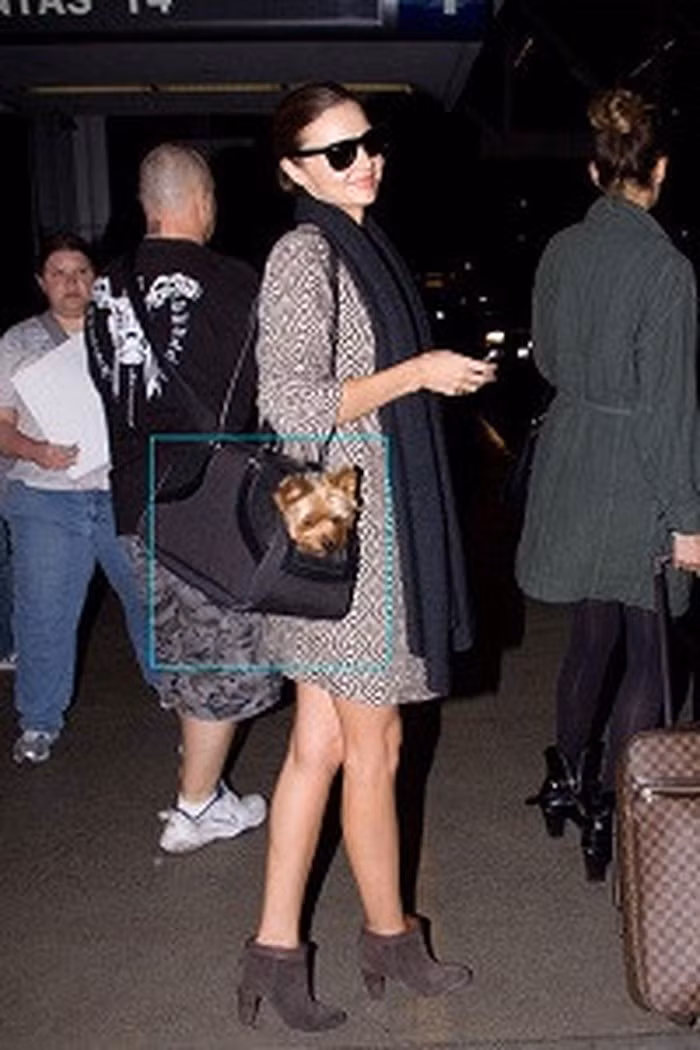 Chiếc túi xách gắn đầu thú cưng kinh dị.