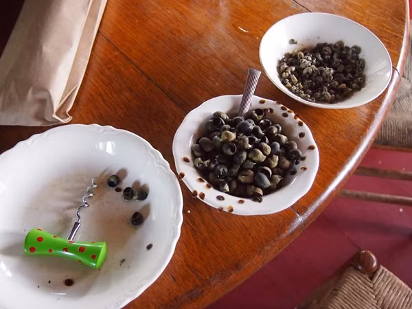 Thế nhưng, người Anh có cách chế biến những con vật “nhớp nháp” thành một món ăn vô cùng tuyệt hảo và bổ dưỡng. Khi thưởng thức món ăn, bạn sẽ cảm nhận được vị mặn của thịt pha với vị bùi bùi của hàu.