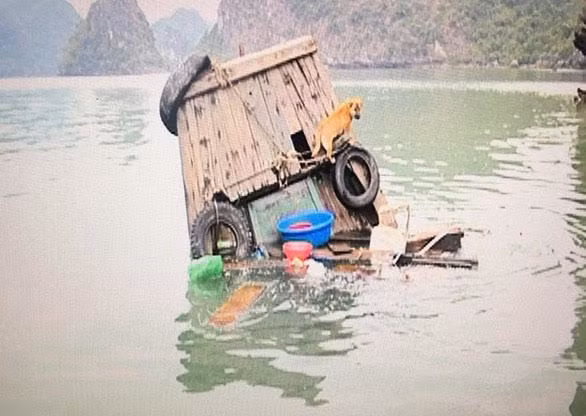 Chieu doc cua tau hang rong khien Thanh tra vinh Ha Long 