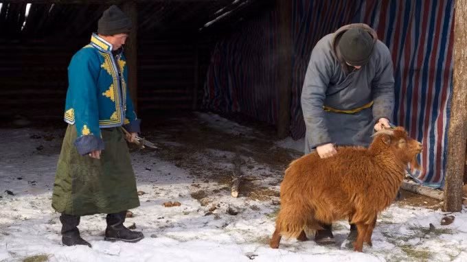 Món boodog bắt nguồn từ lối sống du mục của người Mông Cổ, thường di chuyển trên lưng ngựa, không cố định 1 chỗ nên không thể mang theo đầy đủ dụng cụ nấu ăn. Vì vậy, chính thân thể của các con vật dùng để thay thế xoong, nồi và món boodog đã được ra đời.