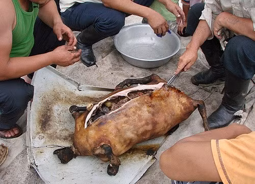 Đối với chân, các xương ở phần dưới bị tháo khớp và cắt đứt, các lỗ da tại bốn đầu chân được buộc lại bằng dây kim loại. Nội tạng được lấy hết ra và chỉ giữ lại gan, cật để làm sạch.