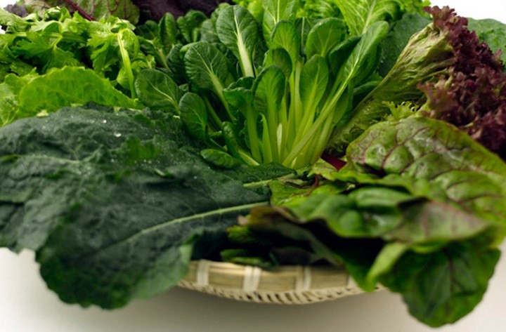 Vitamin K đóng vai trò quan trọng trong đông máu, ngăn ngừa chảy máu quá nhiều. dinh dưỡng này được phân loại dưới dạng vitamin K1 và vitamin K2. Vitamin K1 thường được tìm thấy trong các loại rau lá xanh như rau chân vịt và cải xoăn, trong khi vitamin K2 là một chất dinh dưỡng có trong tự nhiên, trong đường ruột của con người. Thiếu vitamin K có thể gây ra một số vấn đề sức khỏe nghiêm trọng sau.