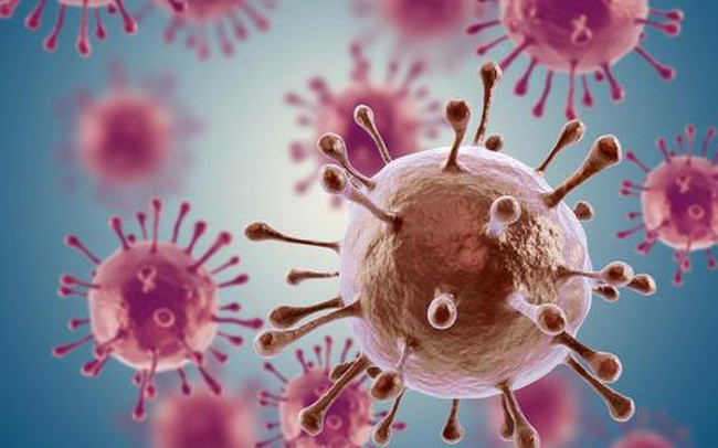 Ung thư: Vitamin K có tính chống ung thư và sự thiếu hụt vitamin K có thể làm tăng nguy cơ ung thư. Các loại ung thư dễ mắc do thiếu vitamin K là ung thư phổi, tuyến vú, tuyến tiền liệt. Một nghiên cứu từ nhóm tuổi 35-64 cho thấy những người thiếu vitamin K có nguy cơ mắc bệnh ung thư tuyến tiền liệt cao hơn những người khác.