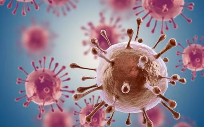 Ung thư: Vitamin K có tính chống ung thư và sự thiếu hụt vitamin K có thể làm tăng nguy cơ ung thư. Các loại ung thư dễ mắc do thiếu vitamin K là ung thư phổi, tuyến vú, tuyến tiền liệt. Một nghiên cứu từ nhóm tuổi 35-64 cho thấy những người thiếu vitamin K có nguy cơ mắc bệnh ung thư tuyến tiền liệt cao hơn những người khác.