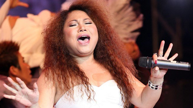 Hình ảnh "quá khổ" của nữ ca sĩ trước khi giảm cân. Ảnh: Vietnamnet, Dân Việt, Thế giới trẻ.