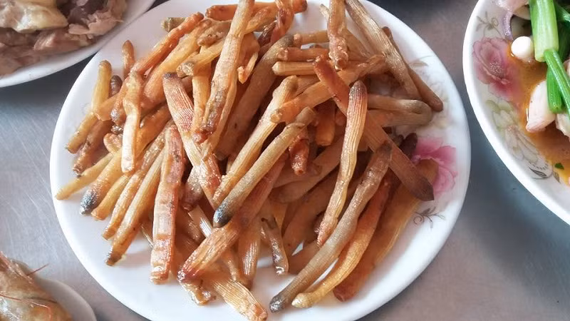 Sá sùng có da trơn nhẵn, thay đổi theo màu sắc môi trường. Khi còn tươi, sá sùng có độ dài khoảng 5 đến 10 cm, cá biệt có con dài đến 15-40 cm, đường kính 20 cm, nặng từ 1 đến 3 kg.