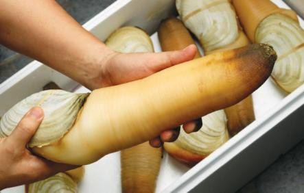 Nhiều người săn lùng món ăn này với hy vọng cải thiện khả năng sinh lý của phái mạnh với quan niệm “ăn gì bổ nấy”. Ảnh: Dulichmuine.