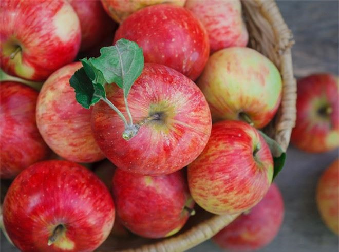 Táo: Các chất pectin trong táo có tác dụng trung hòa axit dạ dày và giảm chóng mặt, buồn nôn. Ăn táo khi đang ngồi trên xe hoặc uống nước ép táo trước khi lên xe sẽ giúp bạn tỉnh táo. Ảnh:Bemagazine.