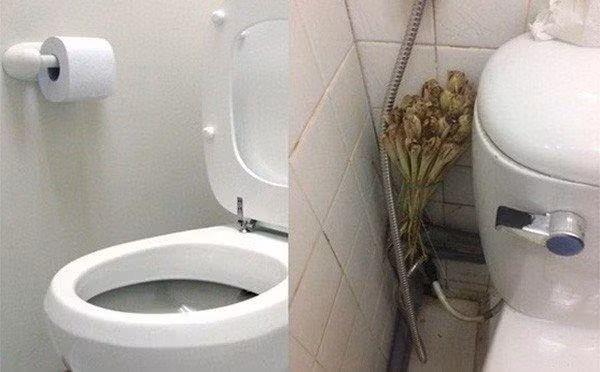 Chỉ bằng cách này, mọi mùi hôi thối trong nhà vệ sinh đều biến mất - Hình 3 Chi bang cach nay, moi mui hoi thoi trong nha ve sinh deu bien mat-Hinh-3