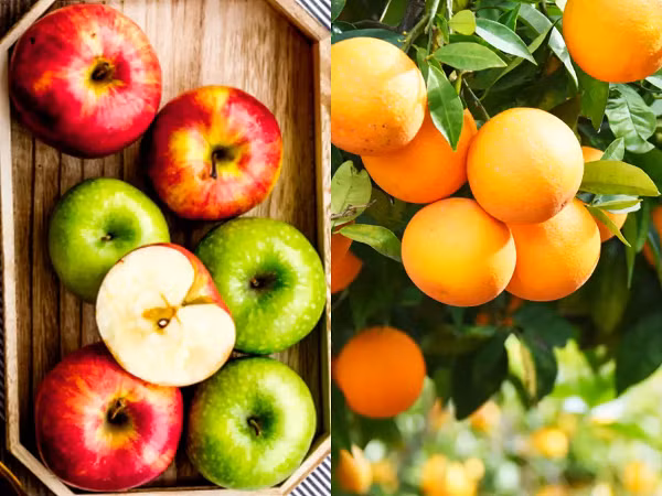 Khong muon thuc pham mau hong dung dai bao quan cac loai nay cung nhau-Hinh-4