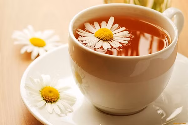 Trà hoa cúc: Trong trà hoa cúc có chất giúp làm dịu các dây thần kinh từ đó giúp giảm cơn thèm thuốc hiệu quả. Ngoài ra, trà hoa cúc còn chứa hàm lượng cao chất chống oxy hóa giúp hạn chế sự gia tăng các gốc tự do, phòng ngừa bệnh ung thư. Ảnh: Internet.