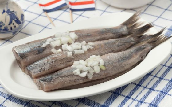 Cá herring hay còn được gọi là cá trích có chứa rất nhiều Omega 3 tốt cho sức khỏe được người dân Hà Lan sử dụng rất nhiều để nấu ăn. Cá herring có thể được chế biến thành nhiều món khác nhau nhưng ngon nhất vẫn là món gỏi cá trích.