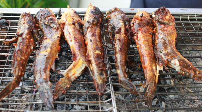 Cá thòi lòi đem về rửa sạch bùn, ướp muối ớt, rồi nướng trên bếp than. Chỉ một chút là mùi thơm của cá lan tỏa hòa quyện cùng mùi cay nồng của ớt cũng khiến cho thực khách phải xuýt xoa bởi hương vị đậm đà của món ăn này. Ảnh: Camautourism.