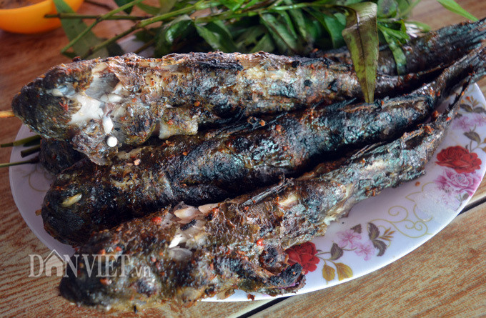 Cá thòi lòi được chế biến nhiều món như kho khô, chiên, nướng, nấu lẩu chua, làm khô… món nào cũng khoái khẩu. Hiện nay, cá thòi lòi tươi có giá bán tại địa phương từ 50.000 - 60.000 đồng/kg, cá khô từ 350.000- 400.000 đồng/kg. Ảnh: Dân Việt.