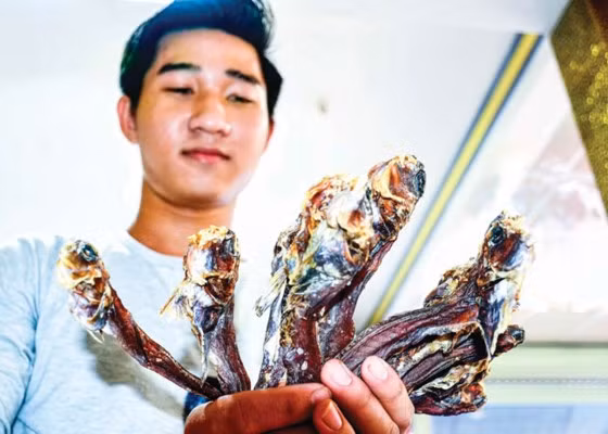 Bên cạnh đó, Cá thòi lòi còn có thể làm khô. Khô cá thòi lòi đem chiên hoặc nướng chấm nước mắm me thì trên cả tuyệt vời. Ảnh: Sài Gòn Đầu Tư.