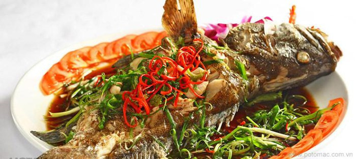 Cá song ở Cát Bà được đánh bắt tự nhiên. Với thịt trắng, vị thơm ngon và hàm lượng dinh dưỡng cao, loại cá này được coi là một trong những món đặc sản trên vùng đảo. Cá song được các nhà hàng ở đây nấu thành cháo, lẩu, hấp, làm gỏi, nướng hay hấp xì dầu. Món nào cũng ngon và có vị đậm đà đặc trưng.