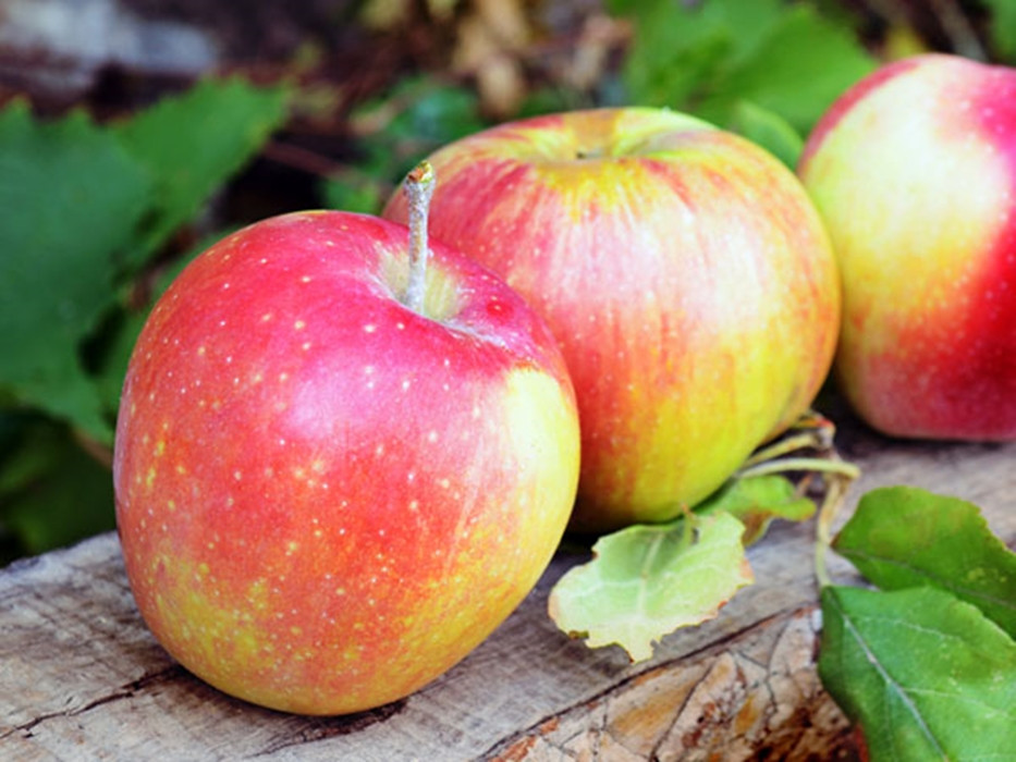 Táo: Táo rất giàu vitamin C và phức hợp vitamin B, có tác dụng giải phóng năng lượng và ngăn ngừa sự mệt mỏi trong mùa hè. Bởi vậy, táo hay nước ép táo là thực phẩm tốt cần đưa vào thực đơn bữa ăn những ngày nóng.