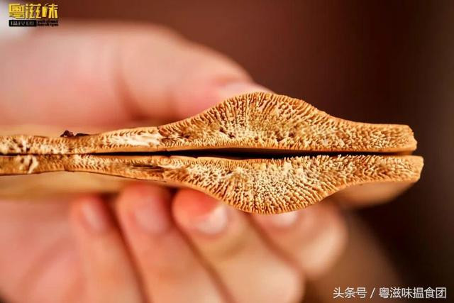 Tuy nhiên, từ khi loài rùa mai vàng nằm trong danh sách đỏ (động vật có nguy cơ tuyệt chủng), người ta chuyển sang dùng các loài rùa hộp châu Á thay thế.