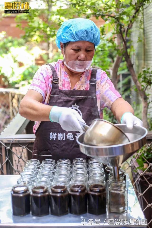 Mai rùa thu hoạch lúc tươi sống nhưng phải để khô vài năm mới đến "độ chín" đủ để mài thành bột làm thạch.