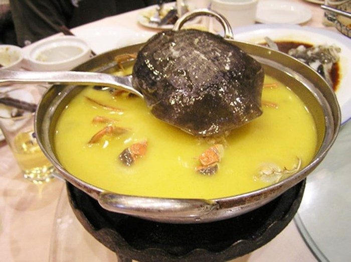 Súp rùa nguyên con: Bạn nghĩ thế nào nếu phải thử món súp mà trong đó có hẳn một con rùa trôi lềnh bềnh cùng rau củ quả?