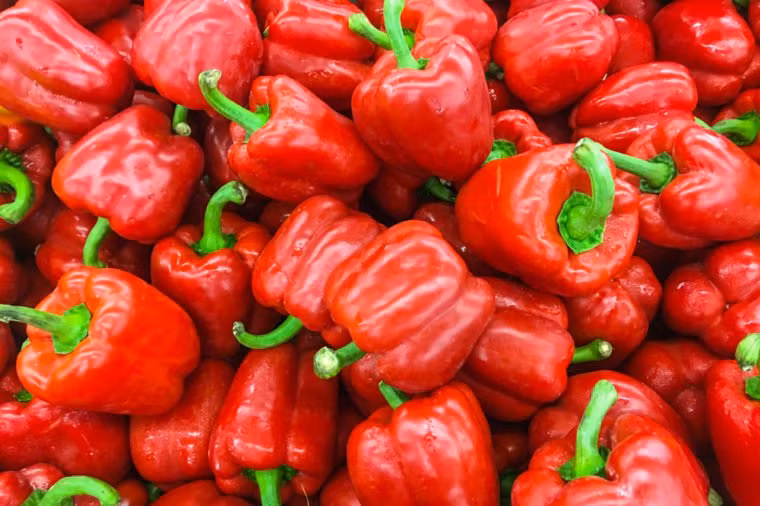 Ớt chuông: Ớt chuông không chỉ chứa nhiều vitamin C, mà chúng còn chứa chất phytochemical có thể ngăn chặn sự phát triển của tế bào ung thư.