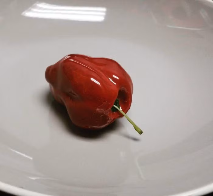 Nếu không nhìn kỹ, chắc chắn bạn khó lòng nhận ra đây là món bánh tráng miệng chứ không phải quả ớt.