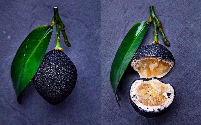 Bánh quả chanh đen ngon miệng.