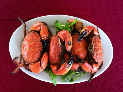 Cù kỳ: Cái tên nghe lạ tai, “kỳ cục” này thực chất là một đặc sản quen thuộc của người dân đảo Cô Tô. Cù kỳ thường được dân đi biển ngoài đánh bắt mang về, tuy thịt không ngon ngọt như thịt cua nhưng ngon hơn ghẹ, giá cả lại rẻ hơn cua nên rất được ưa chuộng.