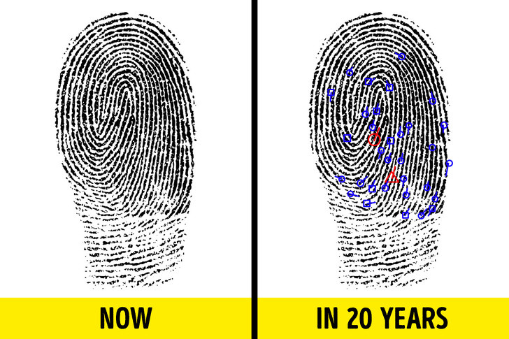 Dấu vân tay thay đổi: Trong nhiều năm, các nhà tội phạm học trên toàn thế giới tin rằng dấu vân tay không bao giờ thay đổi. Nhưng vào năm 2015, các nhà khoa học đã thực hiện một thí nghiệm lớn. Họ đã nghiên cứu dấu vân tay của hơn 15.000 người và phát hiện ra rằng không chỉ một chấn thương, mà tuổi già cũng có thể ảnh hưởng đến các đường vân.