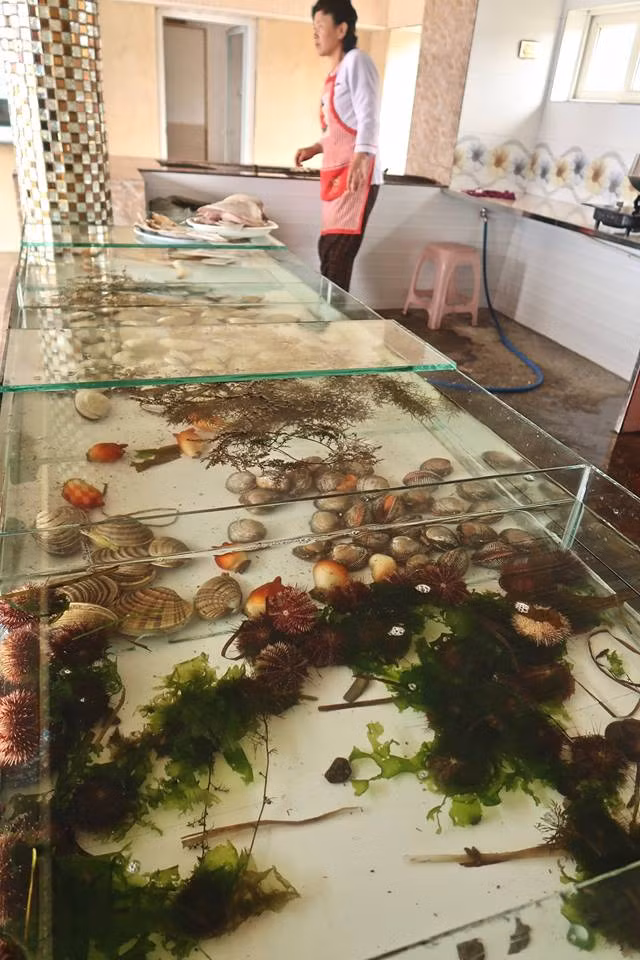 Nhím biển: Các loại hải sản luôn là một gợi ý tuyệt vời cho những ai muốn tìm hiểu ẩm thực Triều Tiên. Hãy chắc chắn là bạn không bỏ qua việc thưởng thức món nhím biển thơm ngon có hương vị vô cùng độc đáo