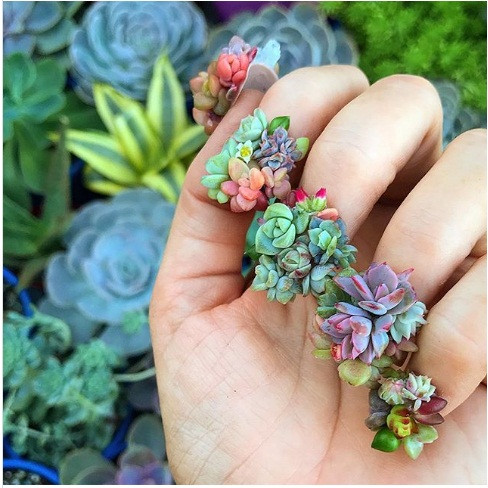 Móng tay đính hoa tươi độc đáo.