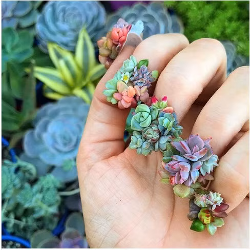 Móng tay đính hoa tươi độc đáo.