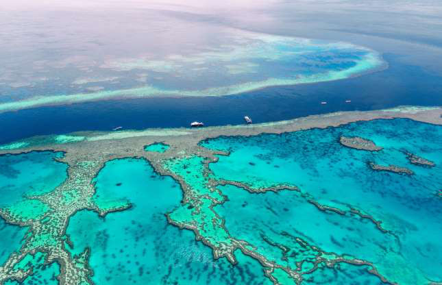 Rạn san hô Great Barrier ở Australia trải dài tới 2.500km. Rạn san hô lớn nhất thế giới này là nhà của hơn 1.500 loài cá.