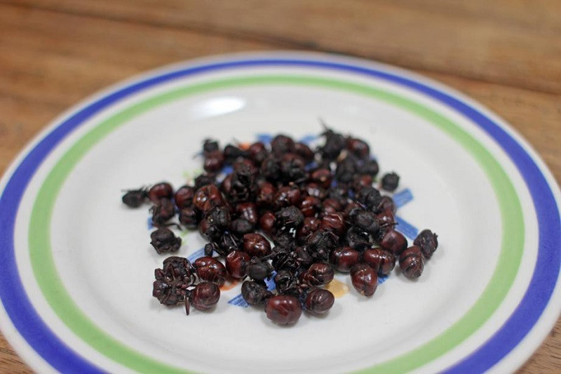 Với người dân Colombia, thì việc ăn kiến mông to là truyền thống từ lâu đời, bắt nguồn từ nền văn hóa bộ lạc cổ. Du lịch đến Colombia, thực khách có thể mua món ăn này ở trên đường phố, hoặc thưởng thức trong những nhà hàng sang trọng với nhiều cách chế biến khác nhau.