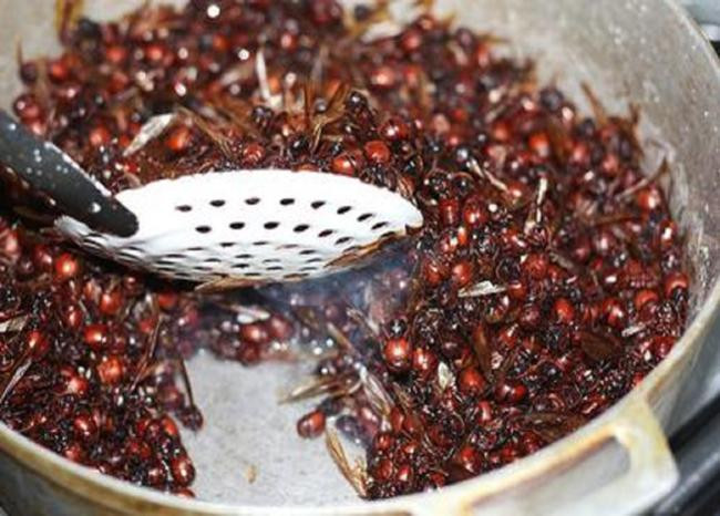 Cách đây nhiều thế kỷ, người dân ở khu vực đông bắc Colombia đã bắt những con kiến Hormigas Culonas thường xuất hiện vào mùa mưa về làm món ăn.