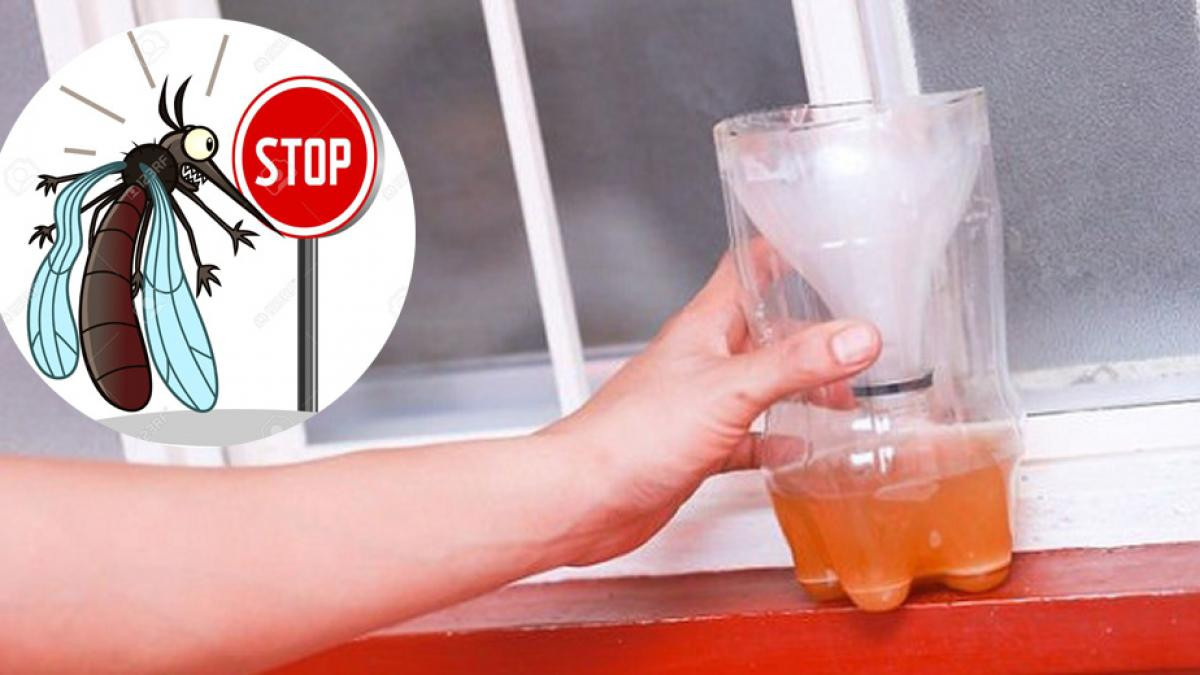 Cho 5 - 10ml bia hoặc nước đường vào chai rồi lắc thật mạnh sau đó để ở những nơi nhiều muỗi sẽ làm lũ muỗi sợ và bỏ đi. 