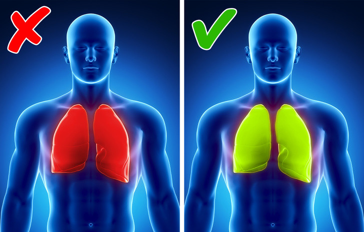 10. Bảo vệ cơ thể chống ung thư: Đậu gà có thể giúp giảm nguy cơ mắc một số loại ung thư. Việc sản xuất butyrate, có khả năng làm giảm viêm trong các tế bào ruột kết, có thể giúp giảm nguy cơ ung thư ruột kết. Đậu xanh cũng chứa saponin, giúp ức chế sự phát triển của khối u. Một số vitamin và khoáng chất khác, như vitamin B, có thể giúp giảm nguy cơ ung thư vú và phổi. Ảnh: BS.