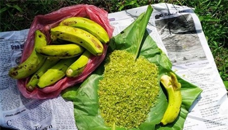 Tới Mù Căng Chải mùa lúa chín, bạn sẽ vô cũng thích thú khi được nhâm nhi những hạt cốm tan Tú Lệ xanh ngắt vị thanh mát, dẻo thơm. Cốm tan Tú Lệ được coi là loại đặc sản vào loại nhất, nhì vùng Tây Bắc.