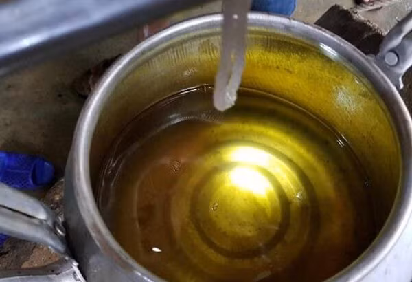 Meo tieu diet kien trong phong an toan, khong can dung thuoc-Hinh-7