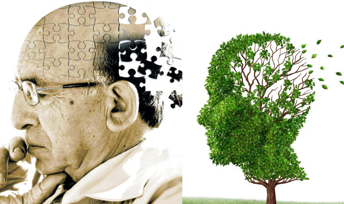 Chống lại bệnh Alzheimer và Parkinson: Trà trắng chứa catechin và epigallocatechin gallate (EGCG) làm giảm nguy cơ phát triển bệnh Parkinson và Alzheimer.